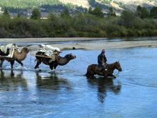 Mongolia-Gobi Steppe-Camel & Horse Trek near Gobi